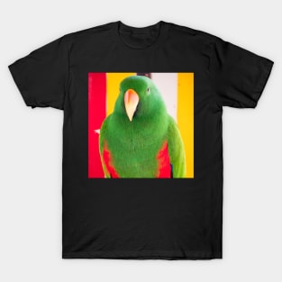 Male Eclectus Parrot (North East Australia) T-Shirt